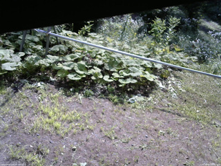 長野県菅平高原 ゆたか山荘 駐車場 2026/08/02 08:45