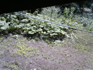 長野県菅平高原 ゆたか山荘 駐車場 2026/08/02 09:00