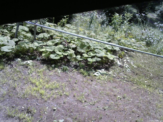 長野県菅平高原 ゆたか山荘 駐車場 2026/08/02 09:15