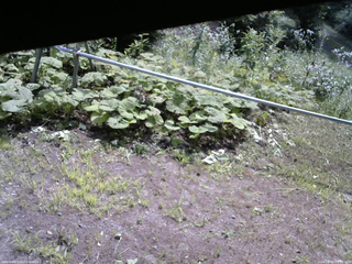長野県菅平高原 ゆたか山荘 駐車場 2026/08/02 09:30