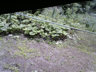 長野県菅平高原 ゆたか山荘 駐車場 2026/08/02 10:00