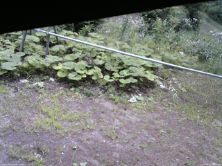 長野県菅平高原 ゆたか山荘 駐車場 2026/08/02 10:15
