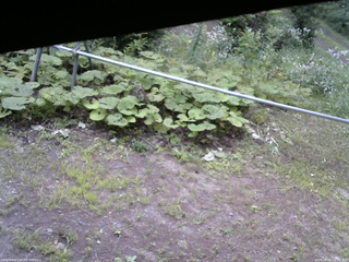 長野県菅平高原 ゆたか山荘 駐車場 2026/08/02 11:30