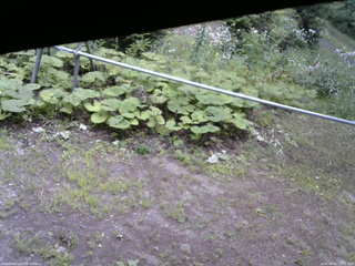 長野県菅平高原 ゆたか山荘 駐車場 2026/08/02 12:15