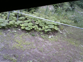 長野県菅平高原 ゆたか山荘 駐車場 2026/08/02 12:45