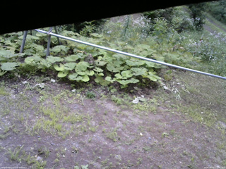 長野県菅平高原 ゆたか山荘 駐車場 2026/08/02 13:30