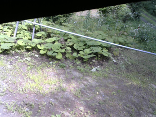 長野県菅平高原 ゆたか山荘 駐車場 2026/08/02 14:00
