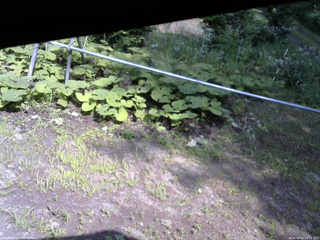 長野県菅平高原 ゆたか山荘 駐車場 2026/08/02 14:15