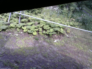 長野県菅平高原 ゆたか山荘 駐車場 2026/08/02 15:15