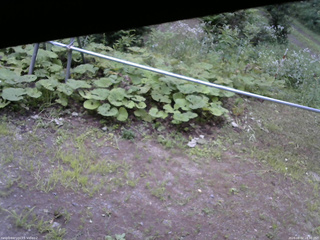 長野県菅平高原 ゆたか山荘 駐車場 2026/08/02 18:30