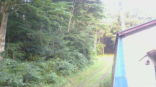 長野県菅平高原 ゆたか山荘 ゆたか山荘 2026/08/02 05:30