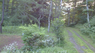 長野県菅平高原 ゆたか山荘 坂上 2026/08/02 05:15
