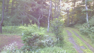 長野県菅平高原 ゆたか山荘 坂上 2026/08/02 05:30