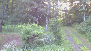 長野県菅平高原 ゆたか山荘 坂上 2026/08/02 05:45