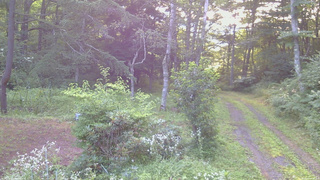 長野県菅平高原 ゆたか山荘 坂上 2026/08/02 06:00