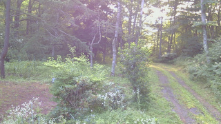 長野県菅平高原 ゆたか山荘 坂上 2026/08/02 06:15