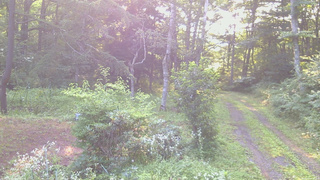 長野県菅平高原 ゆたか山荘 坂上 2026/08/02 06:30