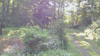 長野県菅平高原 ゆたか山荘 坂上 2026/08/02 07:00