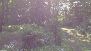 長野県菅平高原 ゆたか山荘 坂上 2026/08/02 07:30