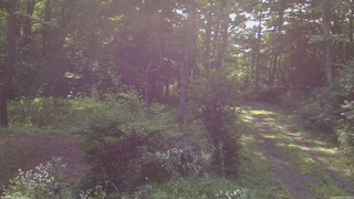 長野県菅平高原 ゆたか山荘 坂上 2026/08/02 07:45