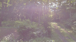 長野県菅平高原 ゆたか山荘 坂上 2026/08/02 08:00