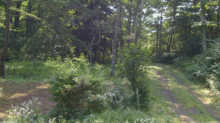 長野県菅平高原 ゆたか山荘 坂上 2026/08/02 08:15