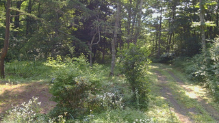長野県菅平高原 ゆたか山荘 坂上 2026/08/02 08:30