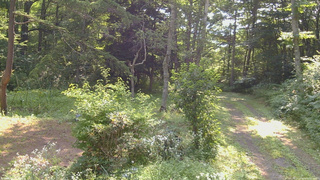 長野県菅平高原 ゆたか山荘 坂上 2026/08/02 08:45