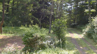 長野県菅平高原 ゆたか山荘 坂上 2026/08/02 09:15