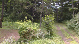 長野県菅平高原 ゆたか山荘 坂上 2026/08/02 09:45