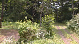 長野県菅平高原 ゆたか山荘 坂上 2026/08/02 10:00