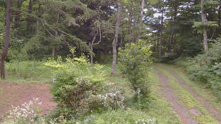 長野県菅平高原 ゆたか山荘 坂上 2026/08/02 10:30