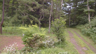 長野県菅平高原 ゆたか山荘 坂上 2026/08/02 10:45
