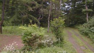 長野県菅平高原 ゆたか山荘 坂上 2026/08/02 11:00