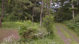 長野県菅平高原 ゆたか山荘 坂上 2026/08/02 11:15