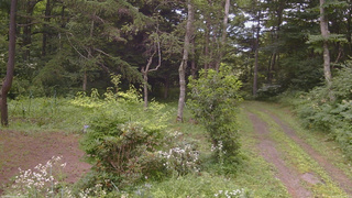 長野県菅平高原 ゆたか山荘 坂上 2026/08/02 11:30