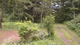 長野県菅平高原 ゆたか山荘 坂上 2026/08/02 11:45