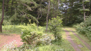 長野県菅平高原 ゆたか山荘 坂上 2026/08/02 12:00
