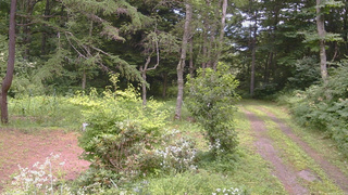 長野県菅平高原 ゆたか山荘 坂上 2026/08/02 12:15