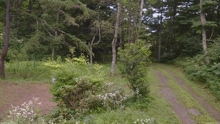 長野県菅平高原 ゆたか山荘 坂上 2026/08/02 12:45