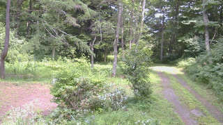 長野県菅平高原 ゆたか山荘 坂上 2026/08/02 13:00