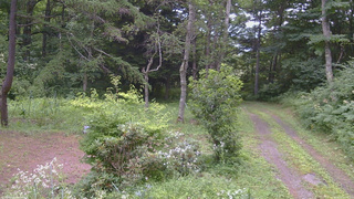 長野県菅平高原 ゆたか山荘 坂上 2026/08/02 13:30