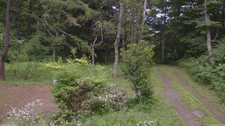 長野県菅平高原 ゆたか山荘 坂上 2026/08/02 13:45