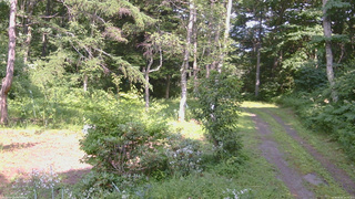 長野県菅平高原 ゆたか山荘 坂上 2026/08/02 14:15