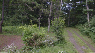 長野県菅平高原 ゆたか山荘 坂上 2026/08/02 14:30