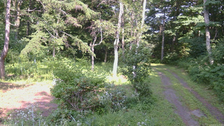 長野県菅平高原 ゆたか山荘 坂上 2026/08/02 14:45