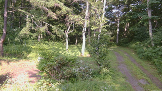 長野県菅平高原 ゆたか山荘 坂上 2026/08/02 15:30