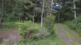 長野県菅平高原 ゆたか山荘 坂上 2026/08/02 15:45