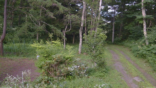 長野県菅平高原 ゆたか山荘 坂上 2026/08/02 16:15