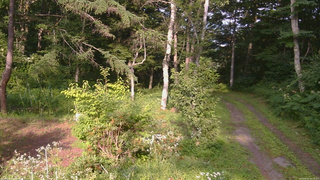長野県菅平高原 ゆたか山荘 坂上 2026/08/02 16:30